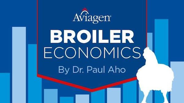 Broiler Economics: Grain Market Shift from Bear to Bull Market, Oct. 2024