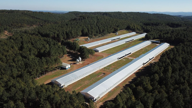 Aviagen América Latina fortalece el servicio para los productores avícolas con adquisición de granja en Santa Catarina, Brasil