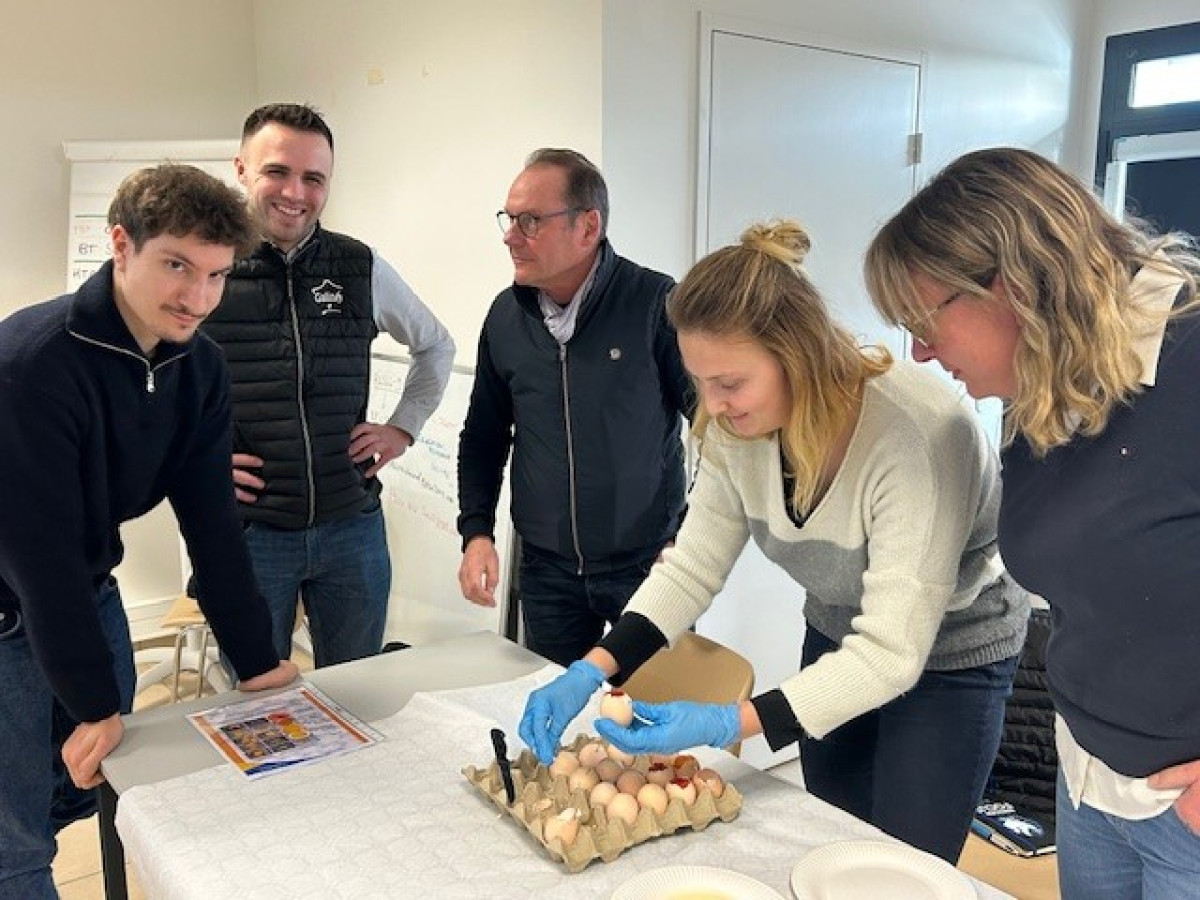 Aviagen France Parent Stock and Broiler customers at Ross 308 Workshops